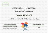 six bricks N2 Carole JACQUOT