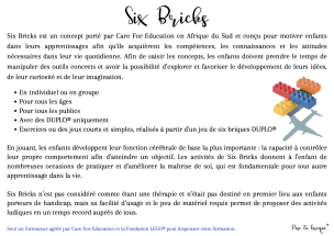 les six bricks - infogrphie pose ta brique