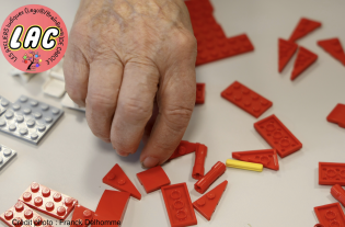 LEGO®️Seniors - Carole Jacquot Facilitatrice LegoThérapie